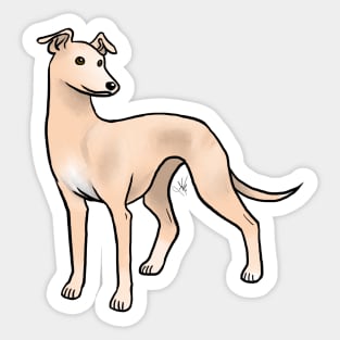 Dog - Whippet - Fawn Sticker